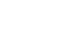 Icoon Retail